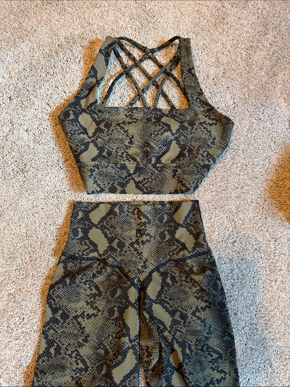 BuffBunny Olive & Black Snake Set
